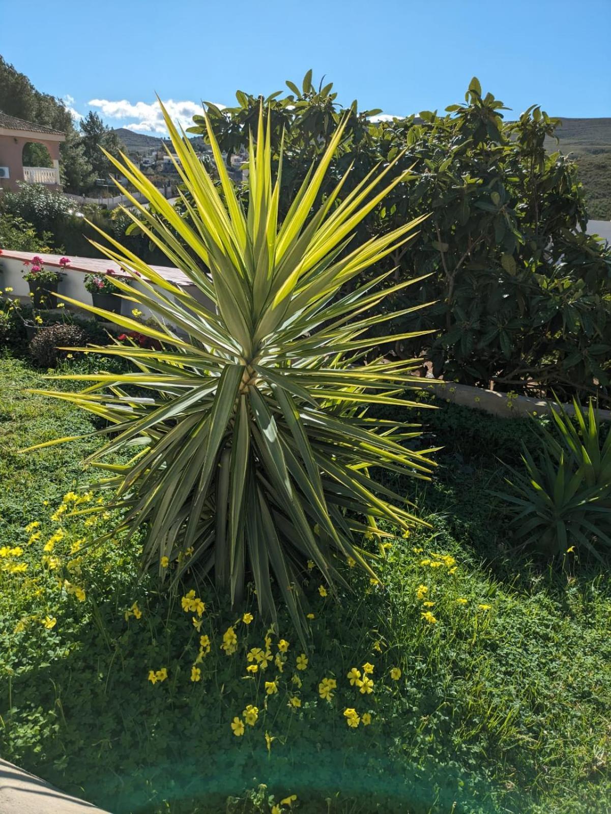 Buen Estar, Piscina, Barbacoa, Jacuzzi En Valencia Villa Turís Exterior foto