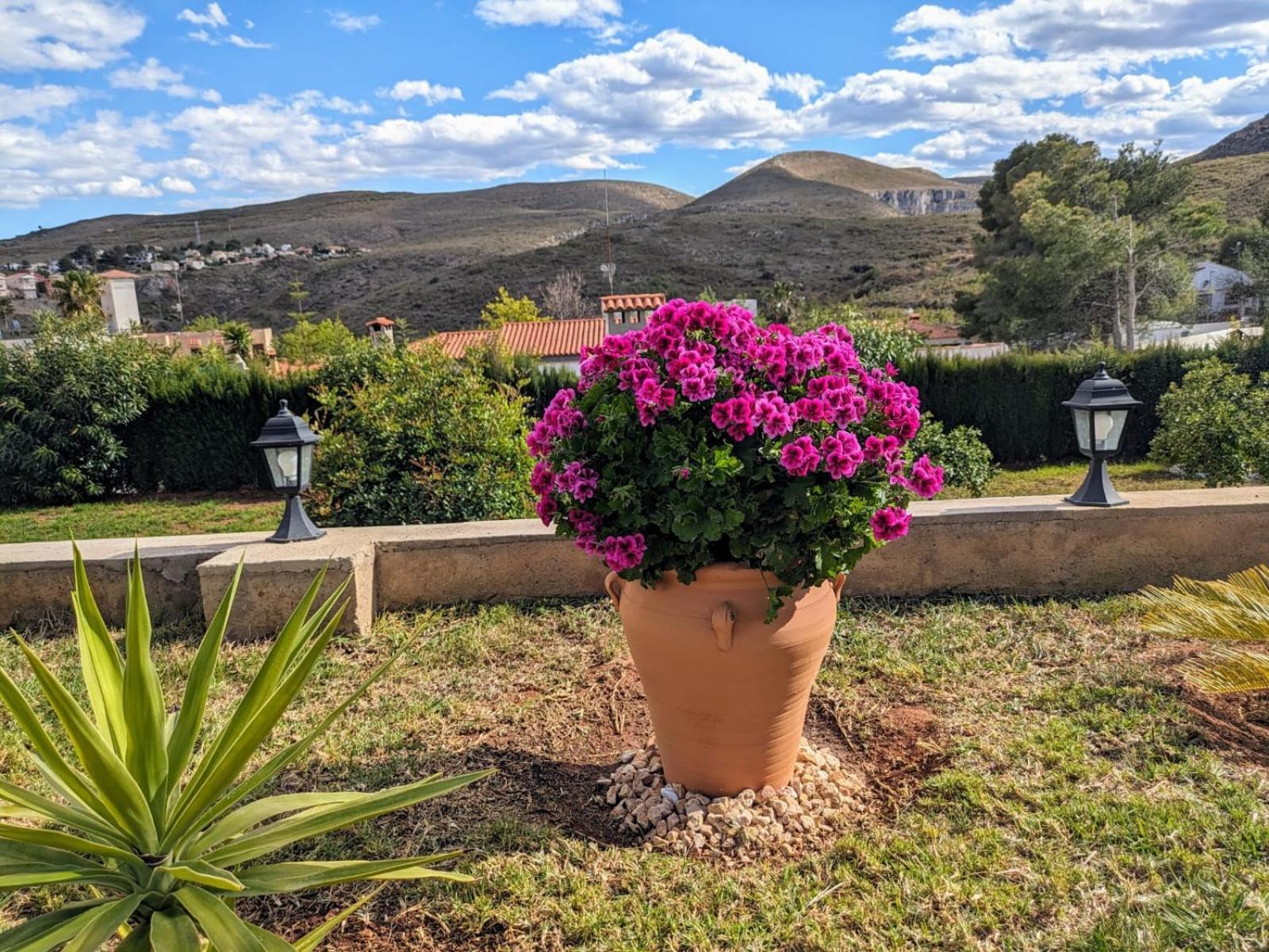 Buen Estar, Piscina, Barbacoa, Jacuzzi En Valencia Villa Turís Exterior foto